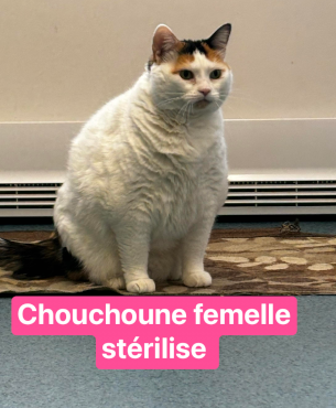 Chouchoune