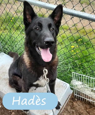 Hades