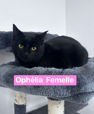 Ophélia